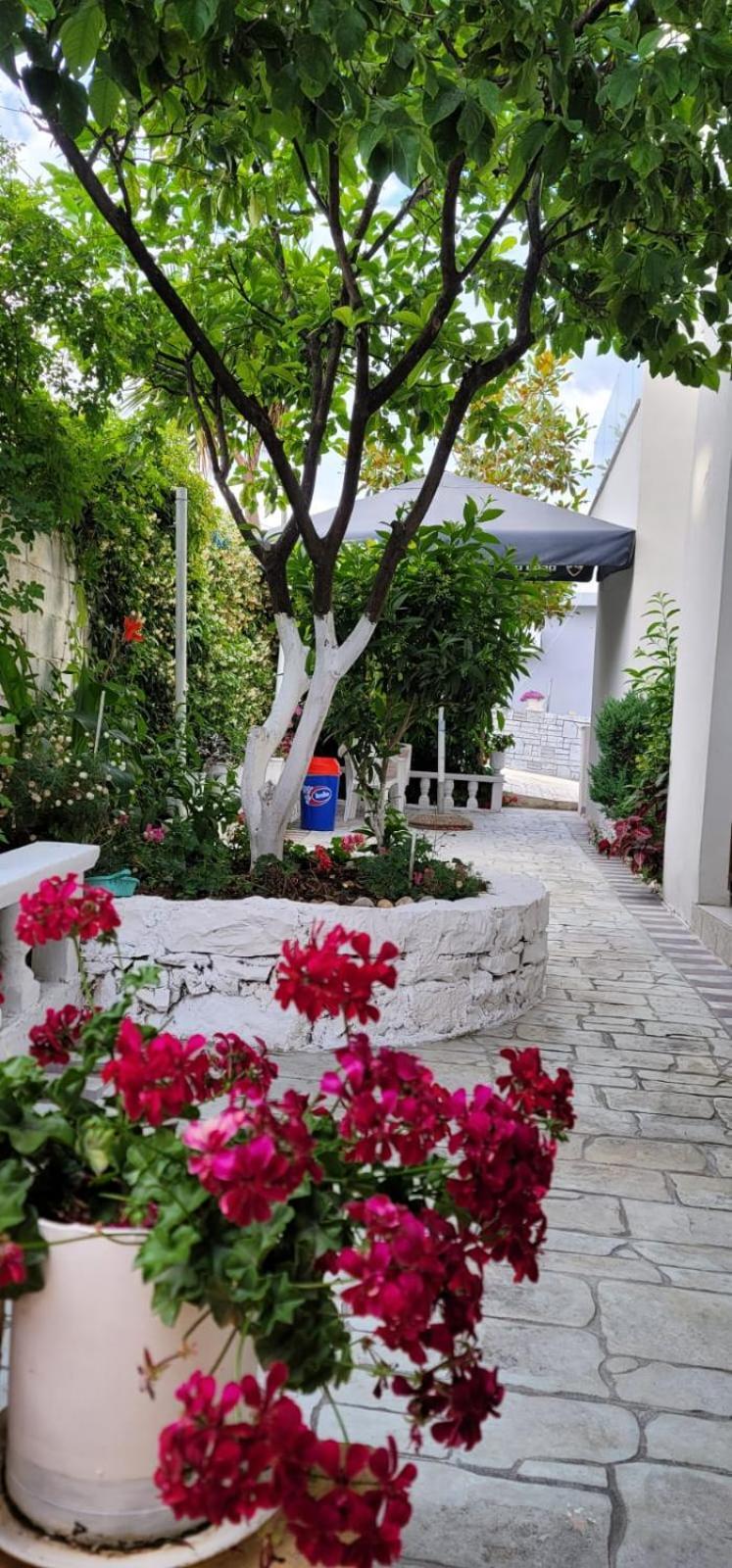 Vila Ori Ksamil Oda fotoğraf